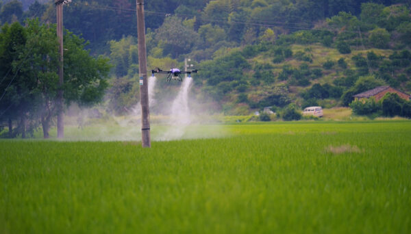 EAvision社のEA-30XP農業用散布ドローンが実際に農薬を散布している画像